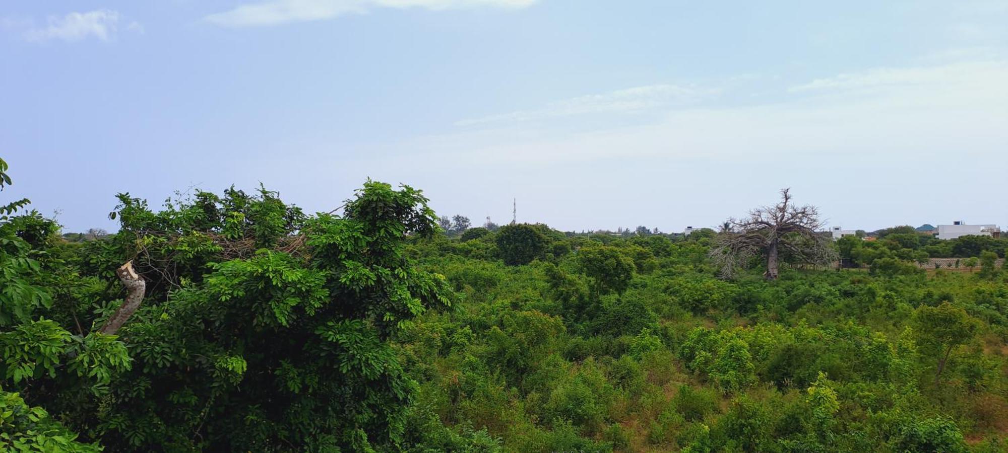 Cave Diani Holiday Apartments Диани Бийч Екстериор снимка